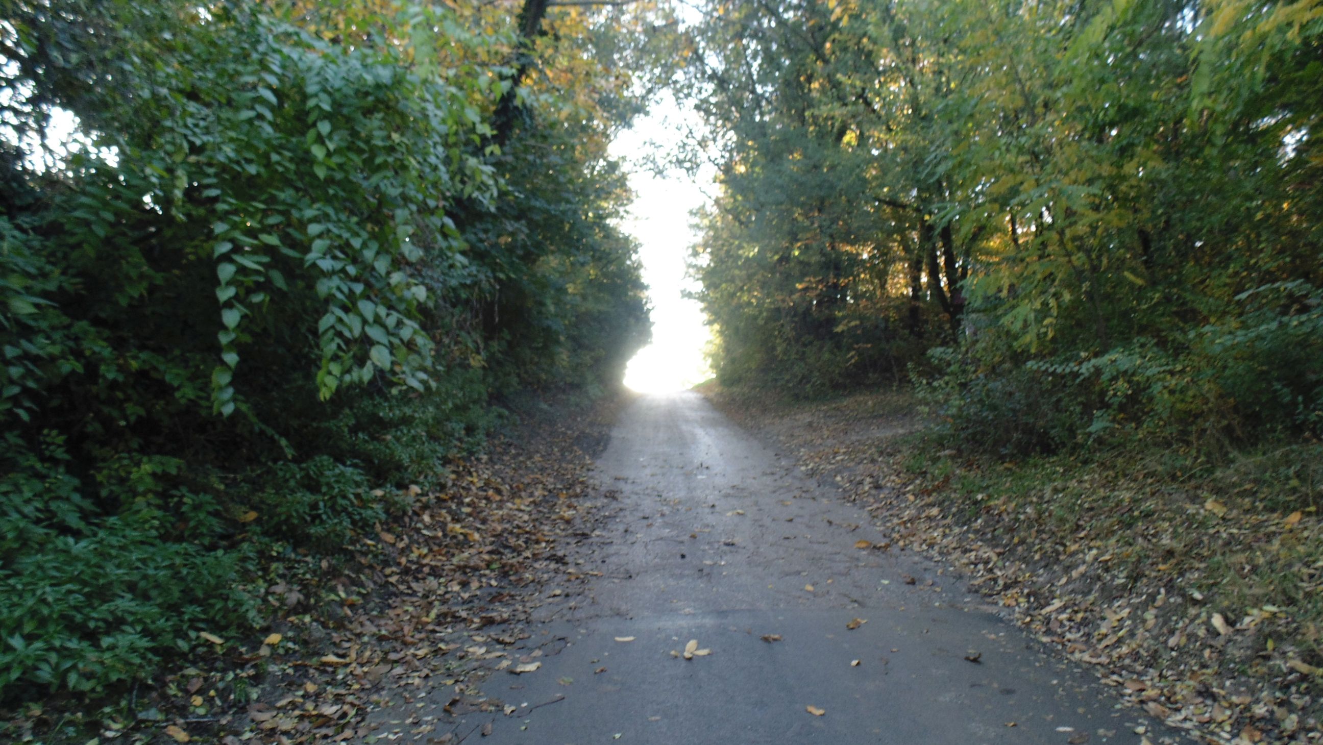 szamárkő2